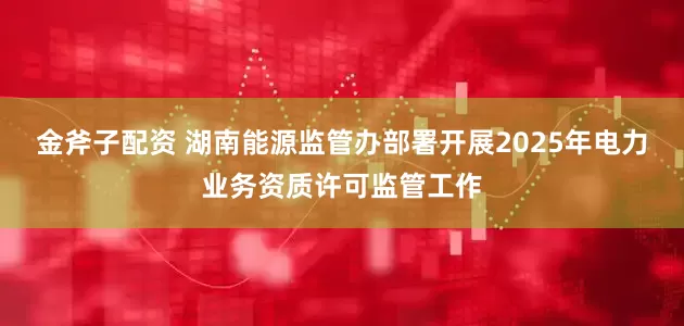 金斧子配资 湖南能源监管办部署开展2025年电力业务资质许可监管工作