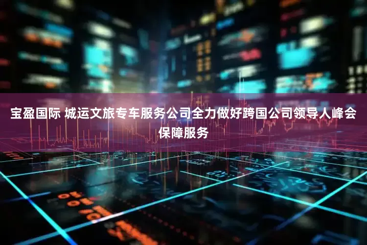 宝盈国际 城运文旅专车服务公司全力做好跨国公司领导人峰会保障服务