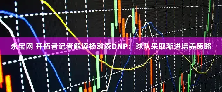 永宝网 开拓者记者解读杨瀚森DNP：球队采取渐进培养策略